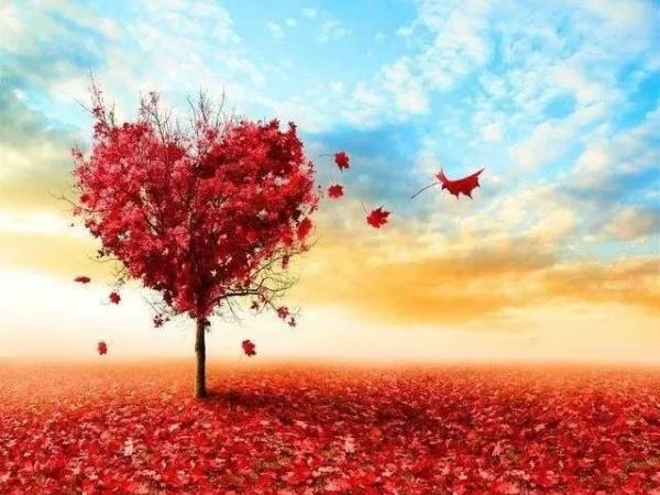 回味美好九月，喜迎輝煌十月