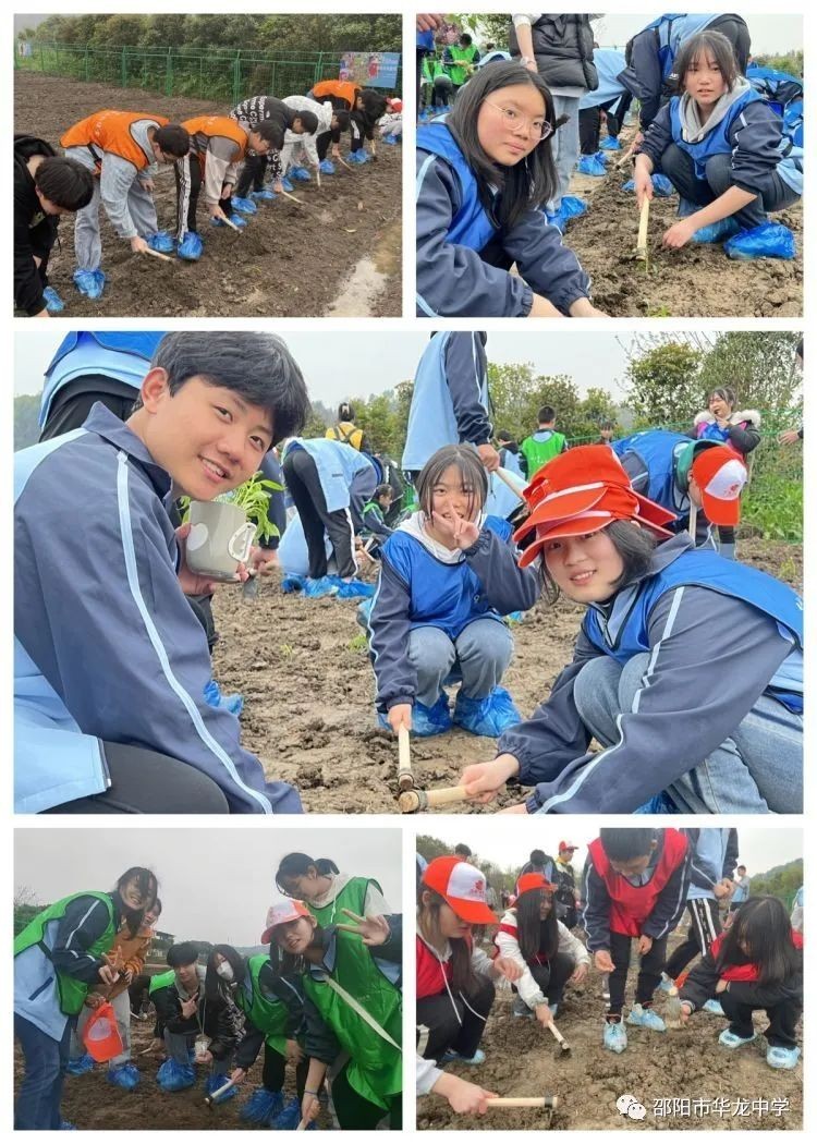 邵陽市華龍育英高級中學(xué)有限公司,邵陽中學(xué)教育,高中教育,師資雄厚,名優(yōu)教師