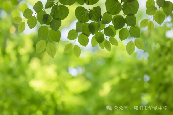 邵陽市華龍育英高級中學(xué)有限公司,邵陽中學(xué)教育,高中教育,師資雄厚,名優(yōu)教師